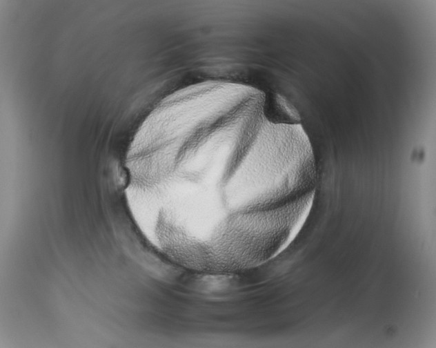 X0000114010089200910231824