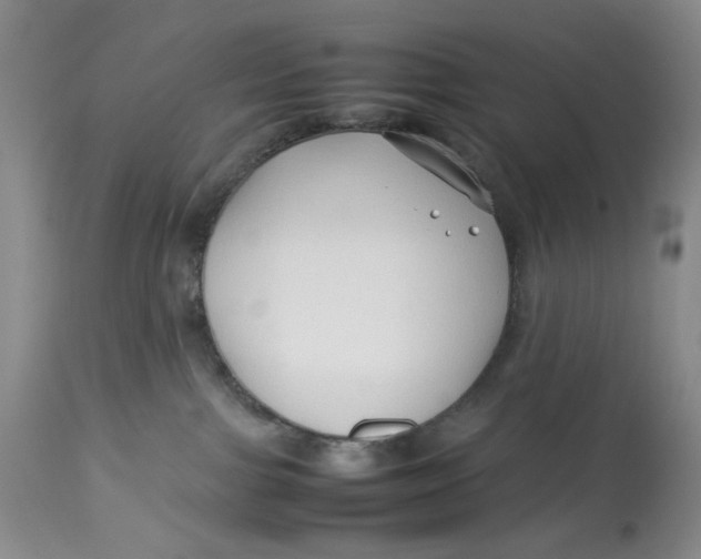 X0000114010091200910231824