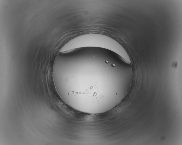 X0000114010092200910231824