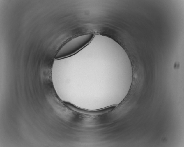 X0000114010096200910231824