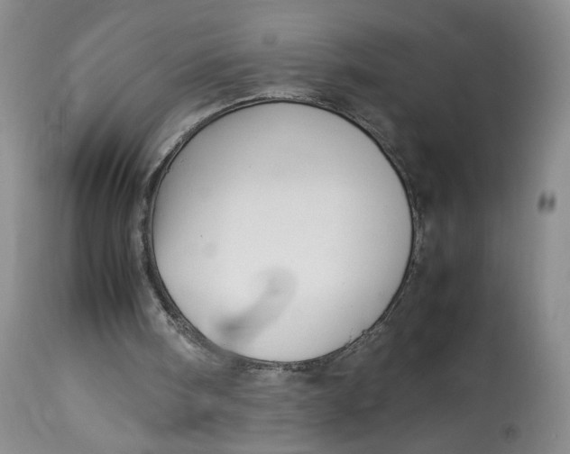 X0000114010098200910231824