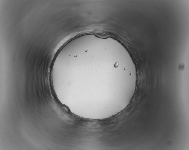 X0000114010100200910231824