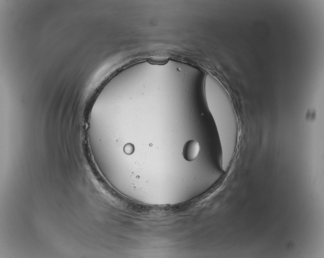 X0000114010101200910231824