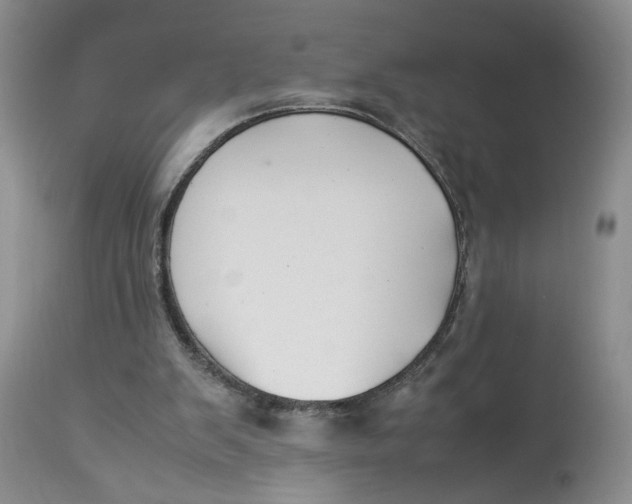 X0000114010103200910231824