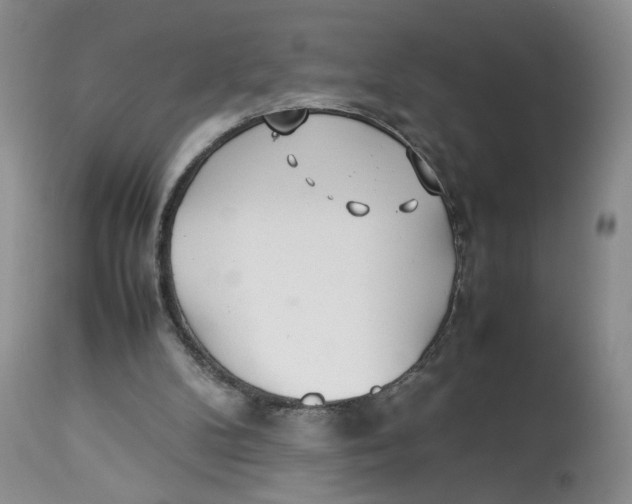 X0000114010104200910231823