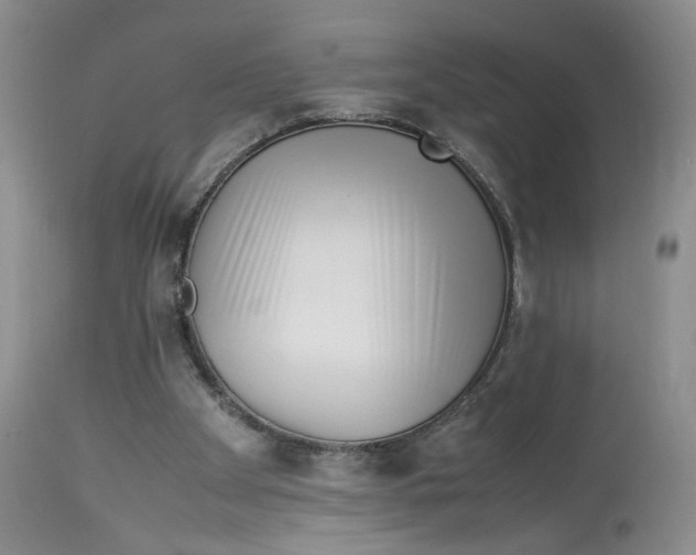 X0000114010105200910231823