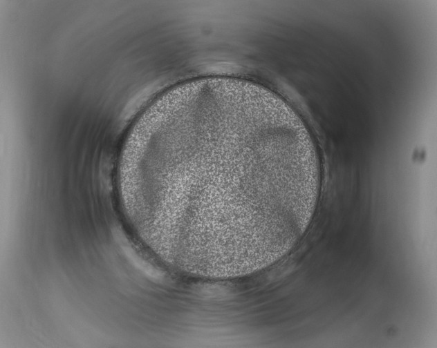 X0000114010106200910231823