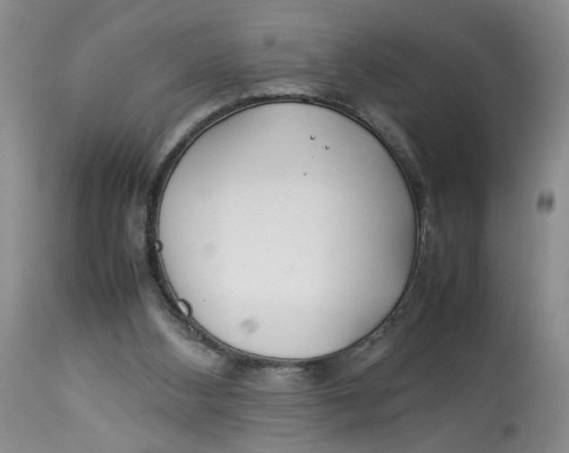 X0000114010108200910231823