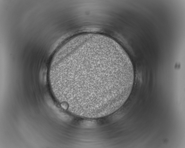 X0000114010110200910231823