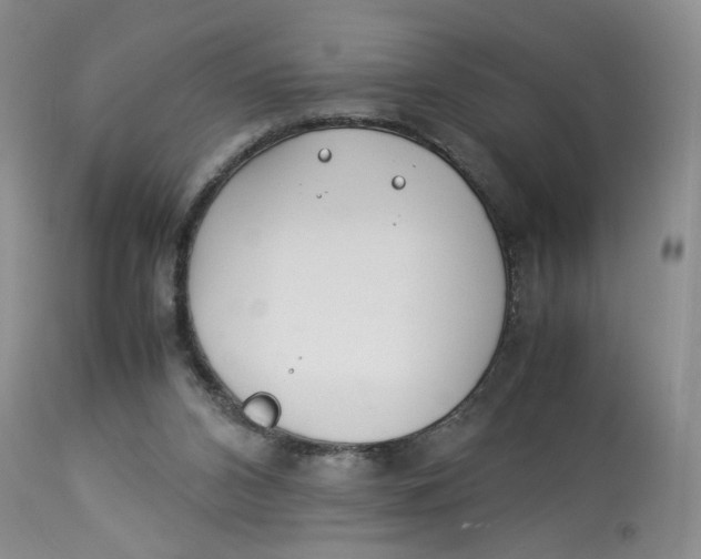 X0000114010112200910231823