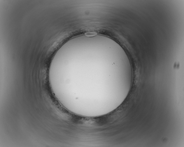 X0000114010113200910231823