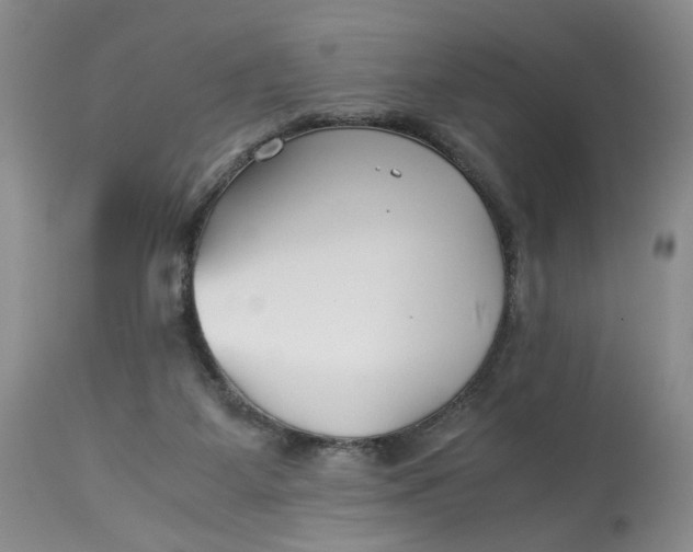 X0000114010115200910231823