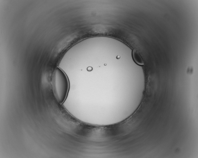 X0000114010116200910231823