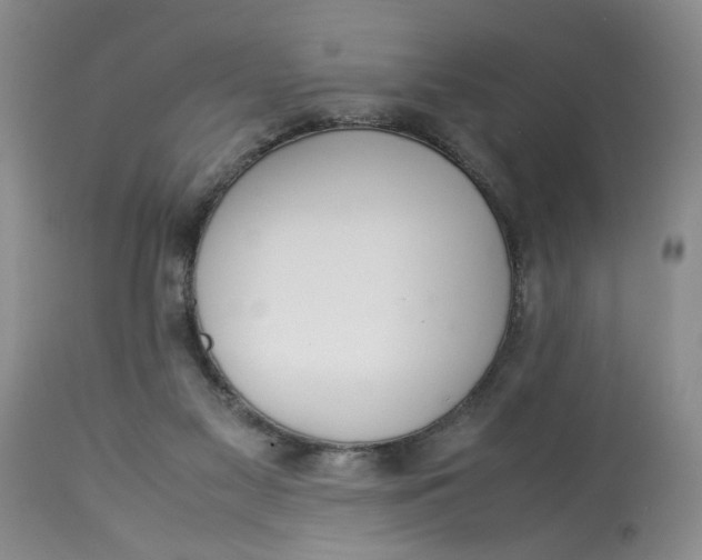 X0000114010117200910231823