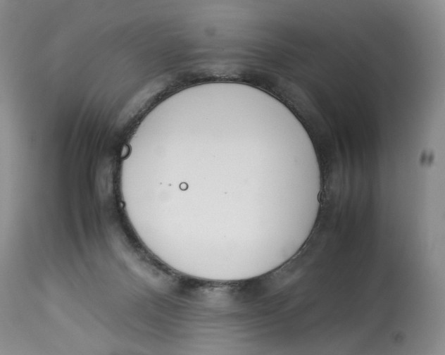 X0000114010120200910231823