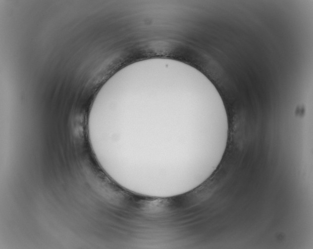 X0000114010122200910231823