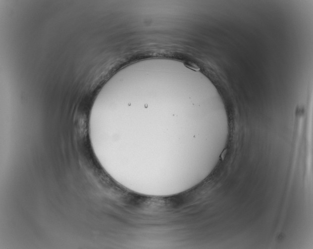 X0000114010123200910231823