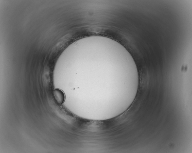 X0000114010128200910231823