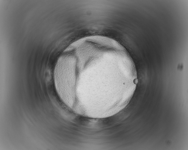 X0000114010130200910231823