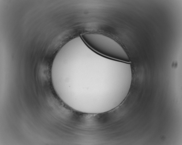 X0000114010136200910231823