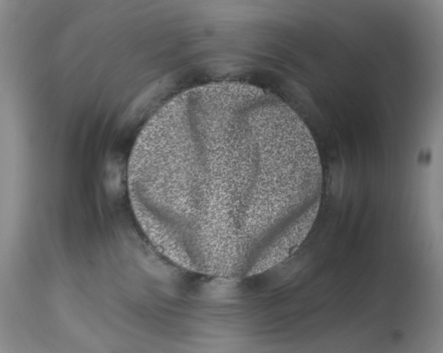 X0000114010138200910231823