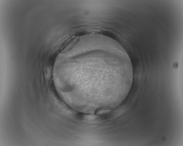 X0000114010139200910231823