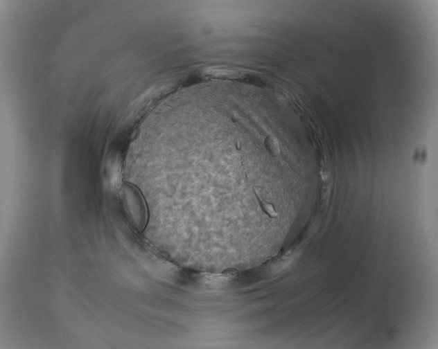 X0000114010143200910231823