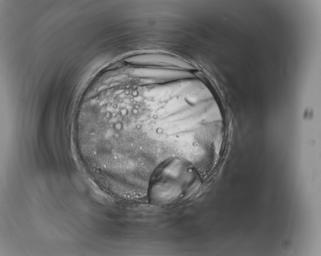 X0000114010145200910231822