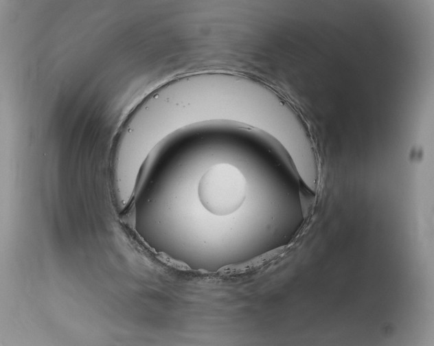 X0000114010146200910231822