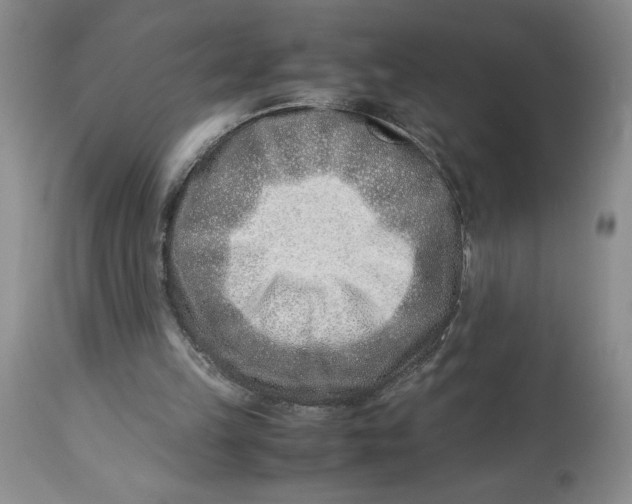 X0000114010149200910231822