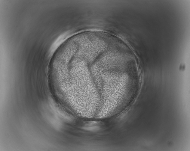 X0000114010151200910231822