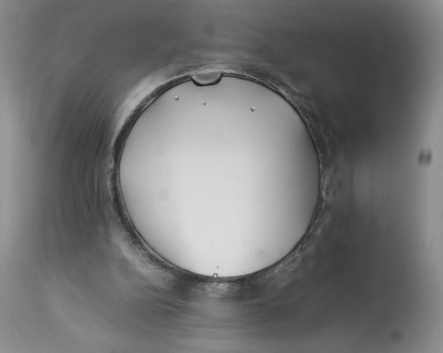 X0000114010152200910231822