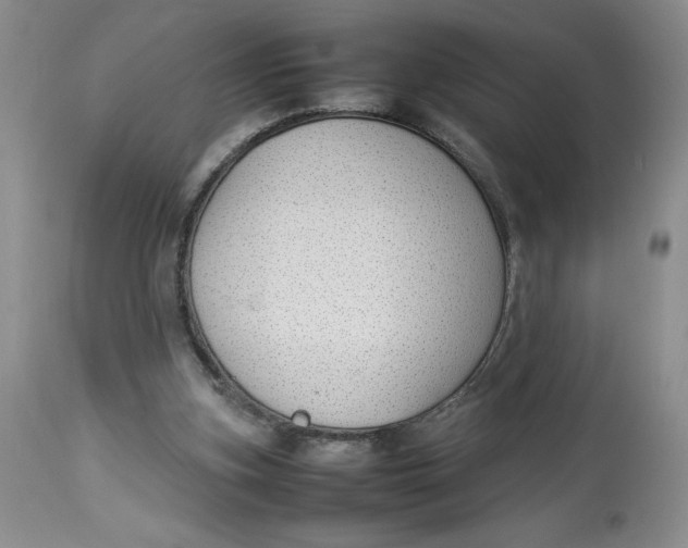 X0000114010155200910231822