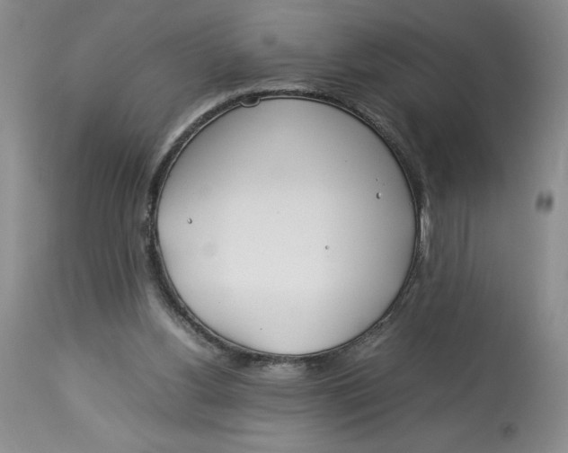 X0000114010156200910231822