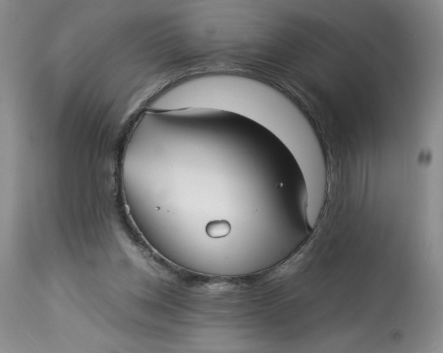 X0000114010158200910231822