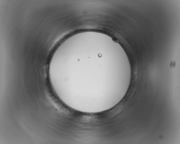 X0000114010160200910231822