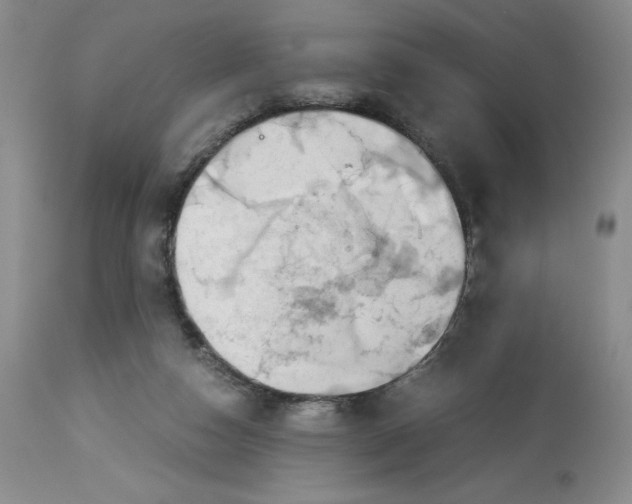 X0000114010162200910231823