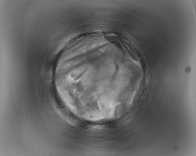 X0000114010163200910231823