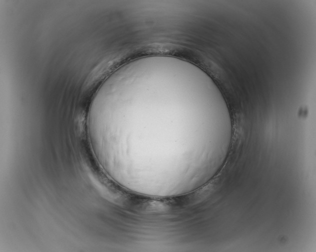 X0000114010166200910231823