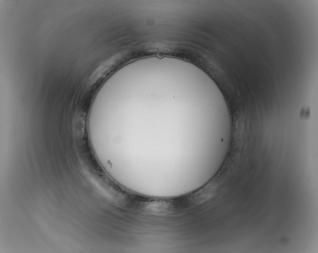 X0000114010168200910231823