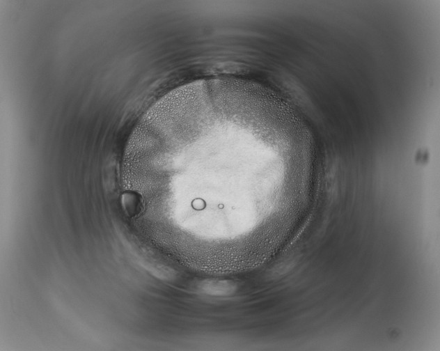 X0000114010169200910231823