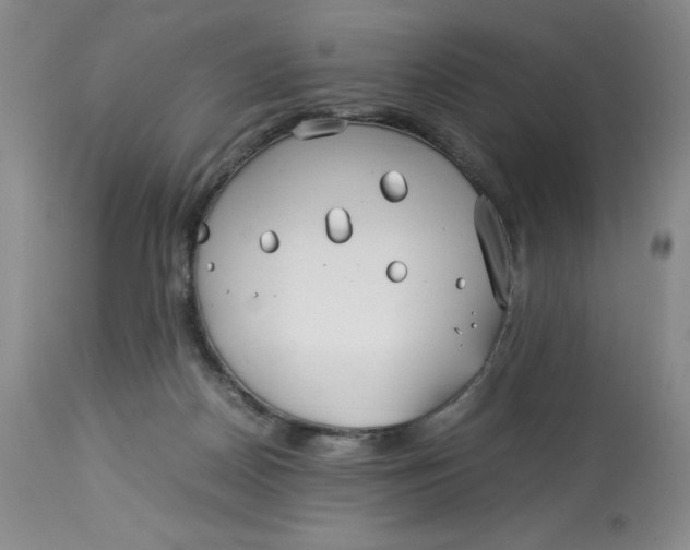 X0000114010170200910231823