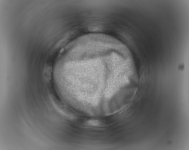 X0000114010171200910231823