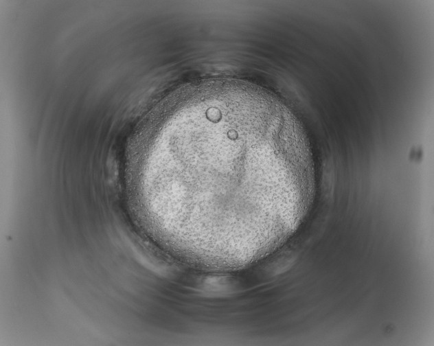 X0000114010173200910231823