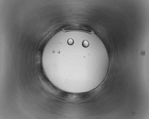 X0000114010174200910231823