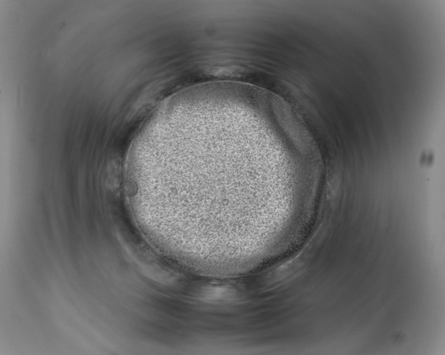 X0000114010175200910231823