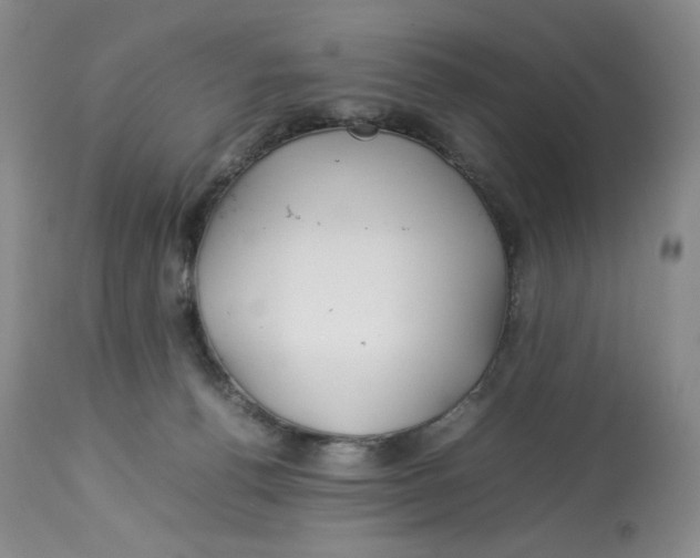 X0000114010176200910231823