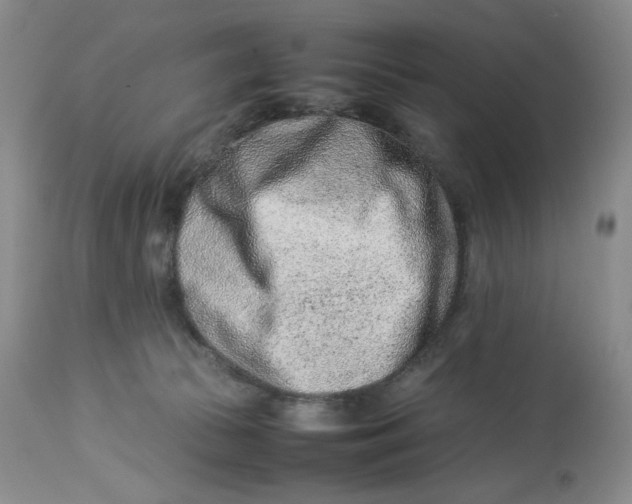 X0000114010177200910231823