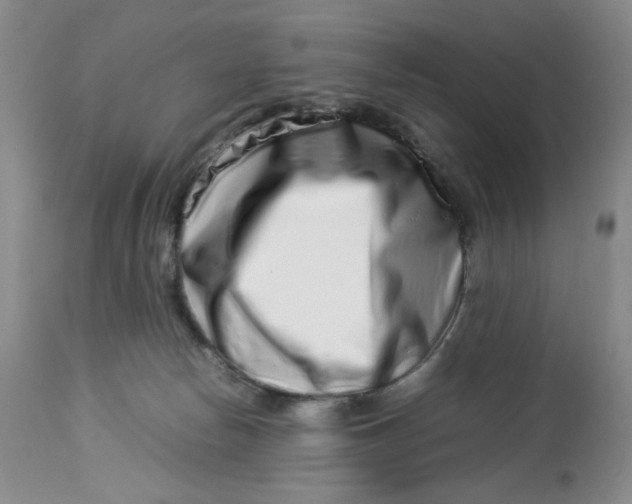 X0000114010178200910231823