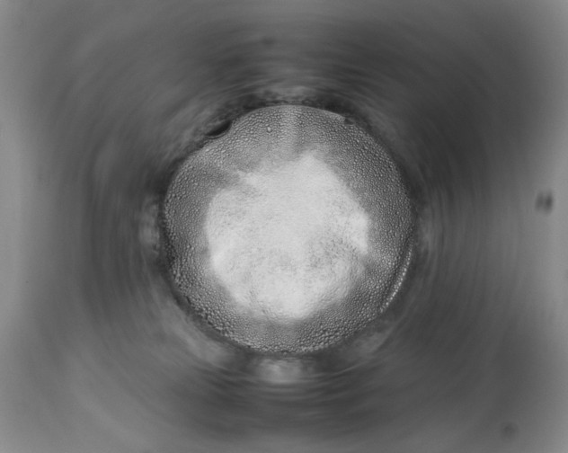 X0000114010181200910231823